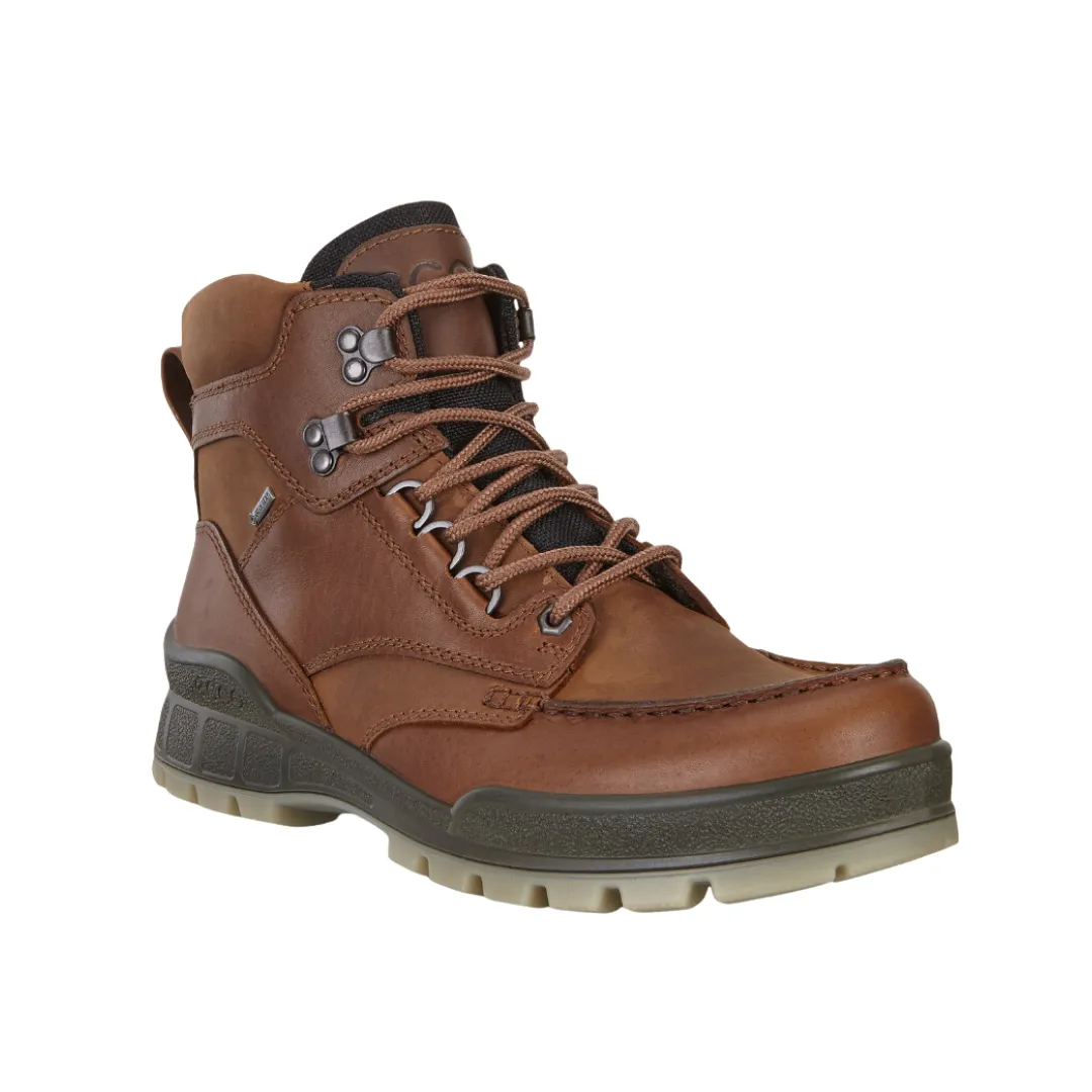 Men's Track 25 GTX Boot