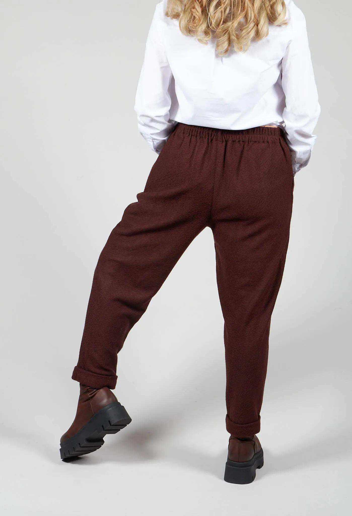 Pegged Trousers in Cognac