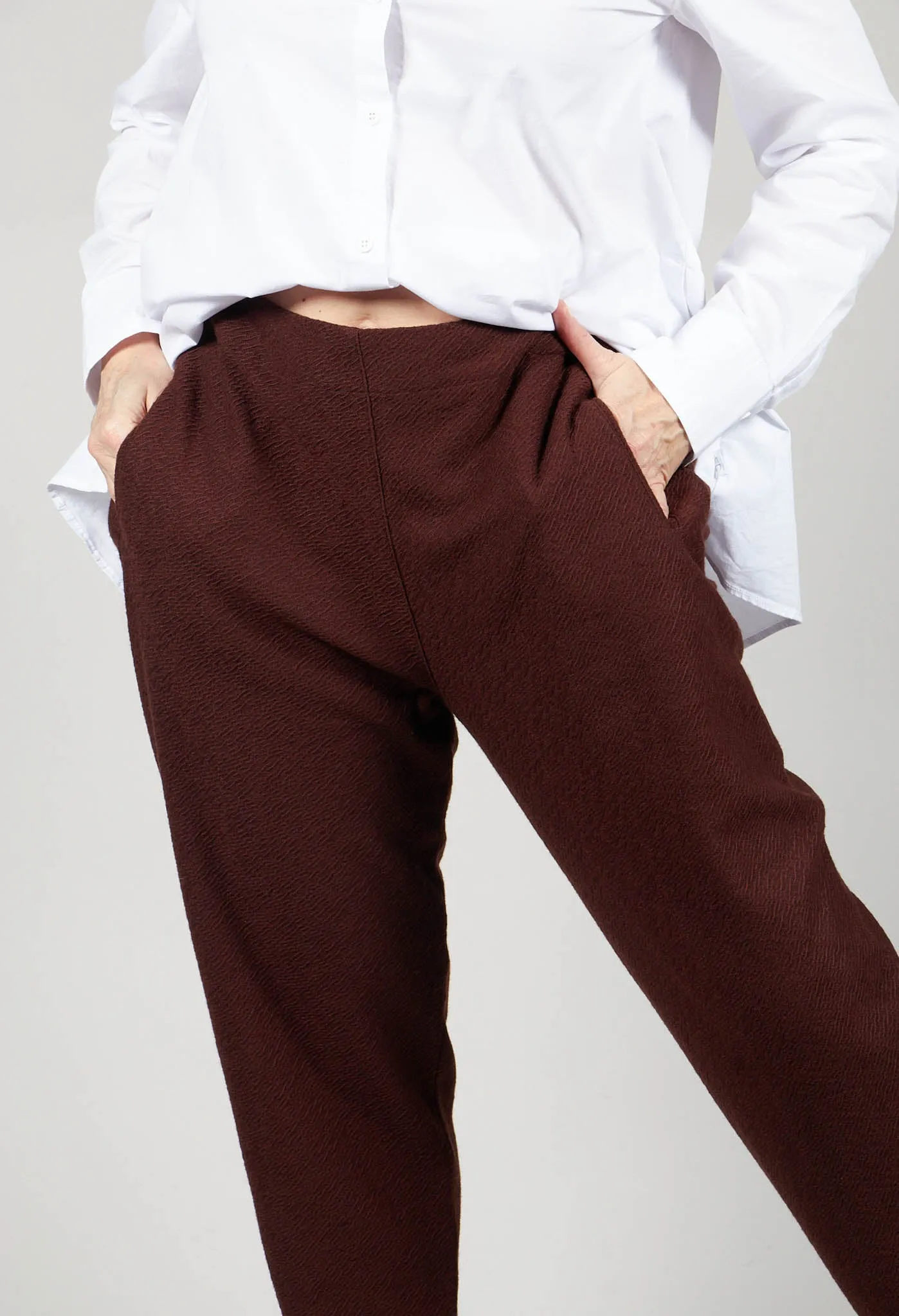 Pegged Trousers in Cognac