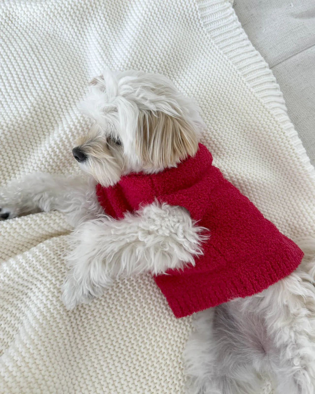 Red Fuzzy Pet Sweater